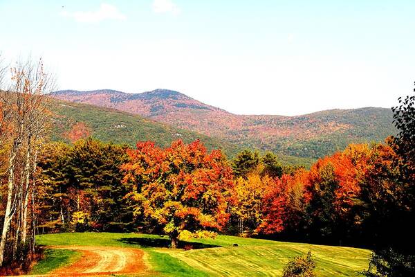 Moutains Poster featuring the photograph Path to Nowhere by Charlene Reinauer