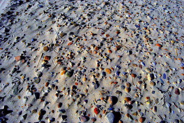 Beach Poster featuring the photograph Pebbles In The Wind by Marysue Ryan