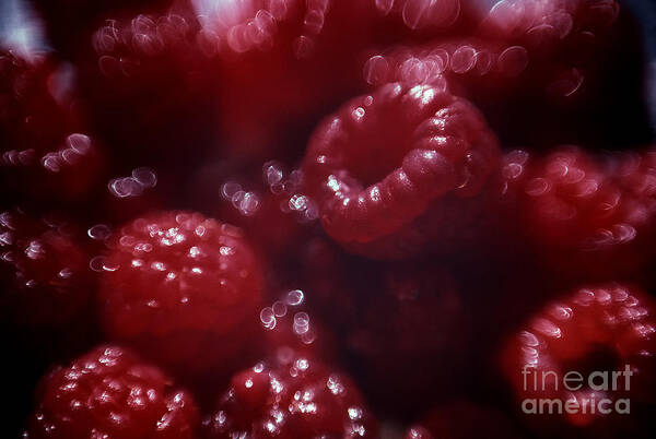 Red Poster featuring the photograph Pile of Red Raspberries by Janeen Wassink Searles