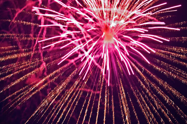 Fireworks Poster featuring the photograph Pink Burst by Paul Mangold