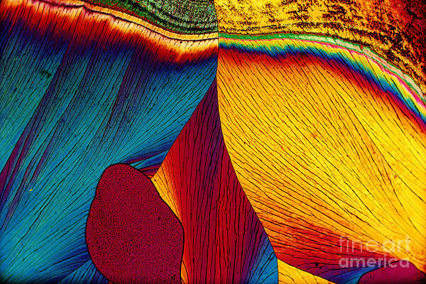 Polarized Light Micrograph Poster featuring the photograph Potassium Nitrate by Michael W. Davidson