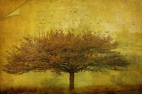 Trees Poster featuring the digital art Quercus Robur by Margaret Hormann Bfa