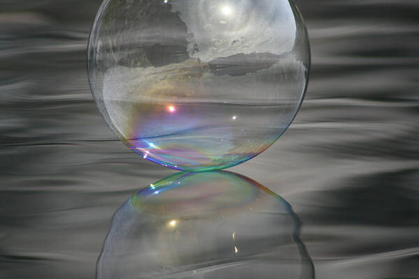 Bubble Poster featuring the photograph Rainbow Bubble Connection by Cathie Douglas