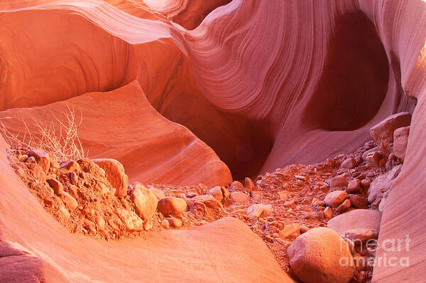 Antelope Canyon Poster featuring the photograph Red Rock Gems by Bob and Nancy Kendrick