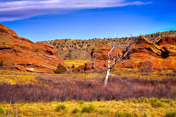 Red Rocks Poster featuring the photograph Red Rocks Park Colorado V by David Patterson