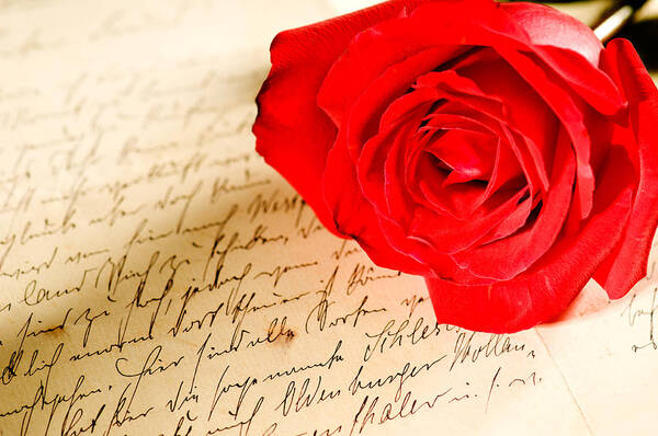 Alliance Poster featuring the photograph Red rose over a hand written letter by U Schade