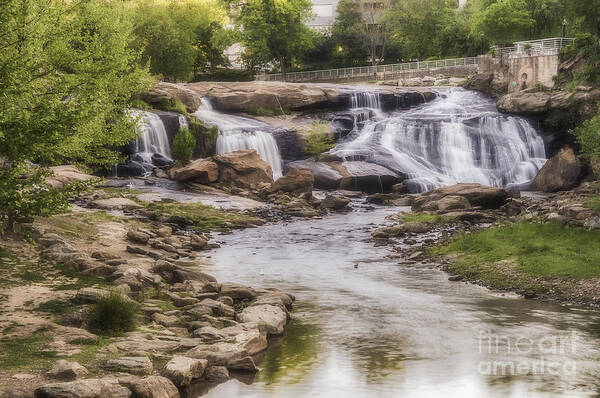 River Poster featuring the photograph Reedy View by David Waldrop