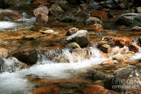 Adiran Laroque Poster featuring the photograph Refreshing by LR Photography