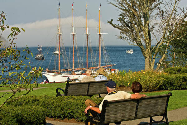 bar Harbor Poster featuring the photograph Relax by Paul Mangold