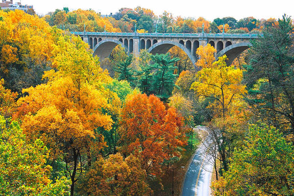 Washington Poster featuring the photograph Rock Creek Park by Claude Taylor