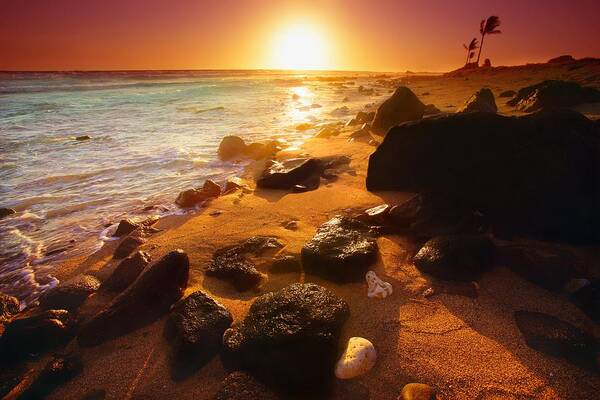 Beauty In Nature Poster featuring the photograph Rocky Shoreline in Hawaii by Don Hammond