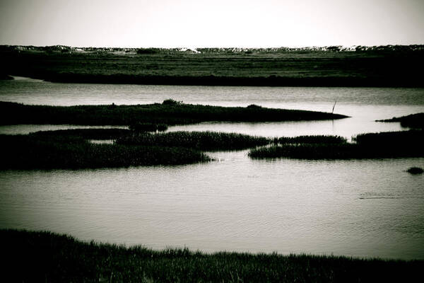 Jezcself Poster featuring the photograph Salt marsh by Jez C Self