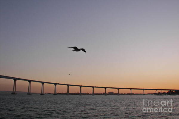 Sunset Poster featuring the photograph San Diego Bay Sunset by Carol Bradley