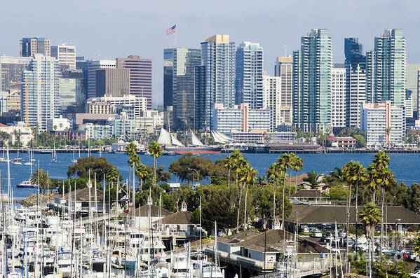 Landscape Poster featuring the photograph San Diego Cityscape by Mary Jane Armstrong