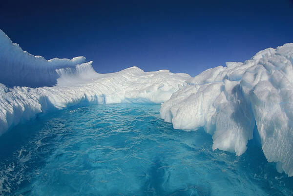 Hhh Poster featuring the photograph Sculpted Iceberg, Terre Adelie Land by Colin Monteath
