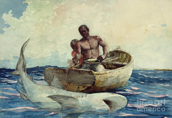 Shark Fishing Poster featuring the painting Shark Fishing by Winslow Homer
