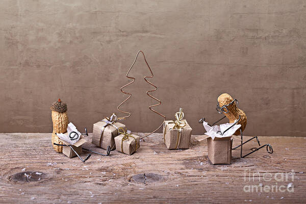 Peanut Poster featuring the photograph Simple Things - Christmas 08 by Nailia Schwarz