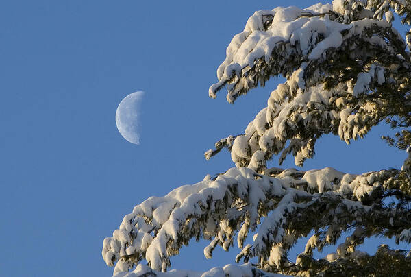 Moon Poster featuring the photograph Snowy Moon by Larry Landolfi