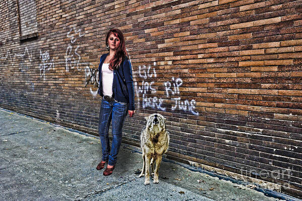 Katie Poster featuring the photograph Something To Howl About by Dan Friend