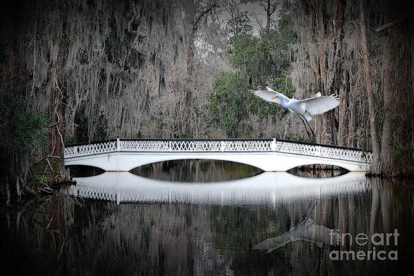 Sourthen Scene Poster featuring the photograph Southern Plantation Flying Egret by Dan Friend