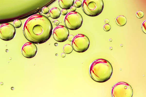 Oil Poster featuring the photograph Sparkling Lime by Sharon Johnstone