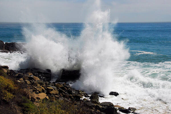 Ocean Poster featuring the photograph Splash by Lynn Bauer