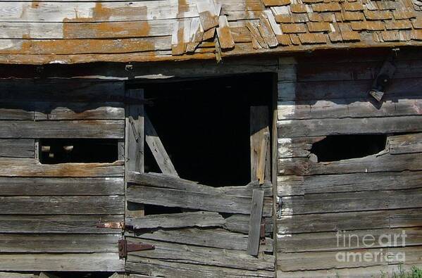 Barn Face Wood Weathered Farm Rural Alberta Canada Rustic Poster featuring the photograph Spooky Face by Jim Sauchyn