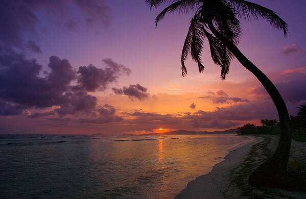 Sunrise Poster featuring the photograph St. Croix sunrise by Gary Felton