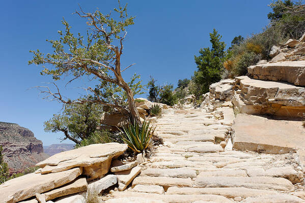 Trail Poster featuring the photograph Steps on the Hermit's Rest Trail II by Julie Niemela