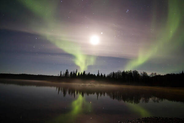 Aurora Poster featuring the photograph Still of Night by Valerie Pond