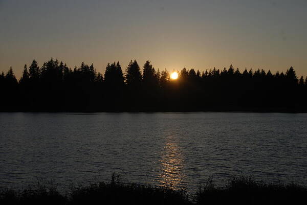 Summer Poster featuring the photograph Summer Sunset by Michael Merry