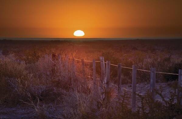 Beauty In Nature Poster featuring the photograph Sunrise Over The Pampa Of Argentina San by Philippe Widling