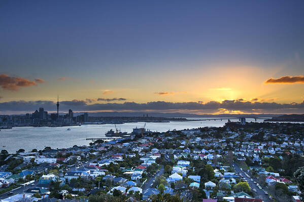 Auckland Poster featuring the photograph Sunset at Auckland by Ng Hock How