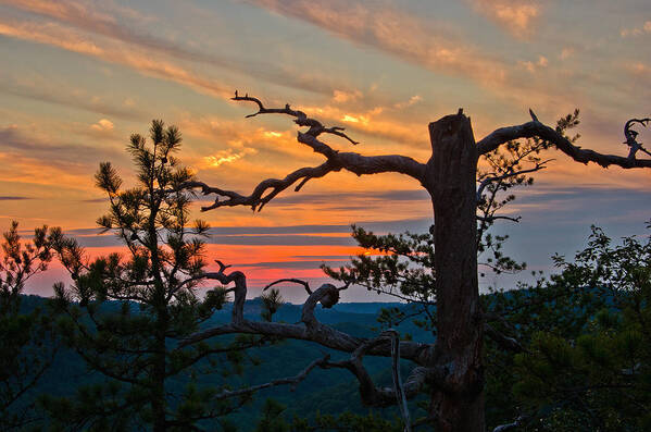 Sunset Poster featuring the photograph Sunset in the Red River Gorge KY by Ulrich Burkhalter