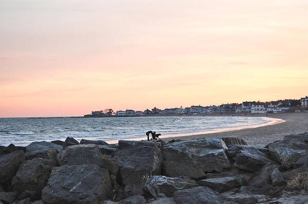 Sunset Poster featuring the photograph Sunset Winter Beach Walk by Mary McAvoy