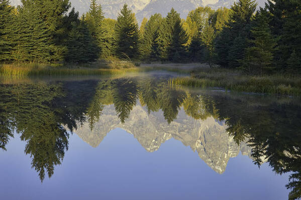 Water Poster featuring the photograph Teton Morning Reflections by Mark Harrington