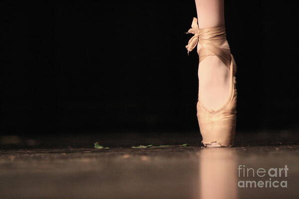 Slipper Poster featuring the photograph The Ballet by Ken Marsh