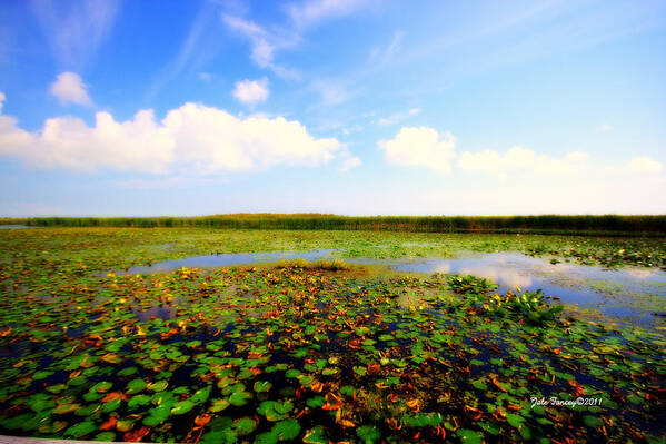 Clouds Poster featuring the photograph The Bog at Point Pelee by Jale Fancey