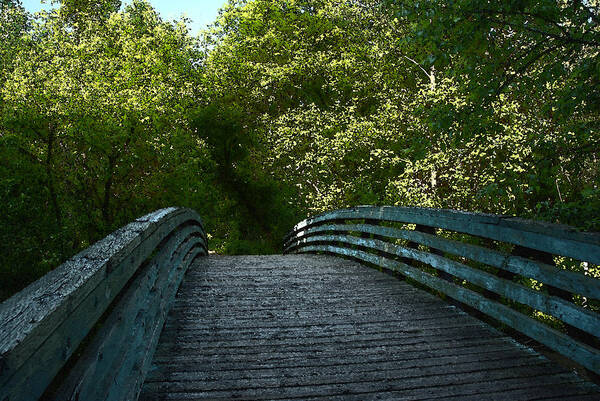 Digital Art Poster featuring the photograph The Bridge by Dragan Kudjerski