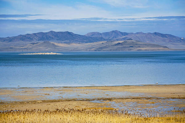 Great Poster featuring the photograph The Great Salt Lake by Marilyn Hunt