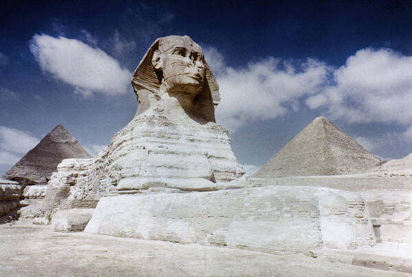 4th Dynasty Poster featuring the photograph The Great Sphinx by Granger