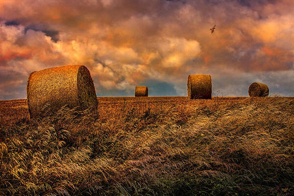Hay Poster featuring the photograph The Hayfield by Chris Lord