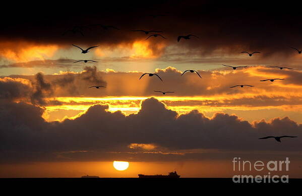 Sunset Poster featuring the photograph The Heavens by Johanne Peale