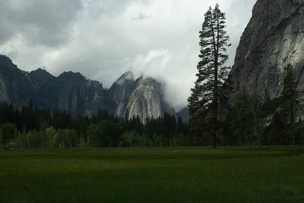 Yosemite Poster featuring the photograph The Meadow The Tree The Fog by David Armentrout