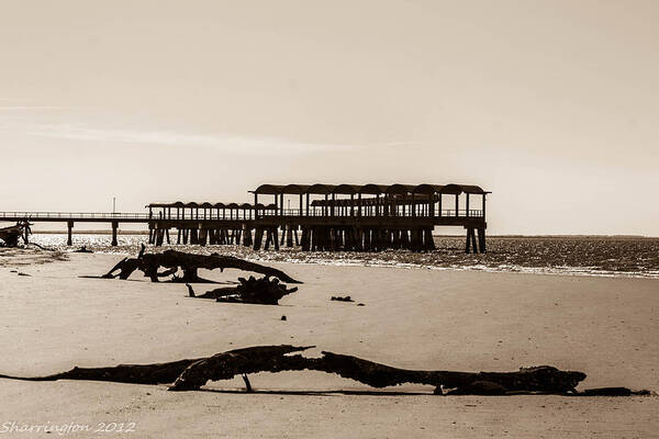 Landscapes Poster featuring the photograph The Pier by Shannon Harrington