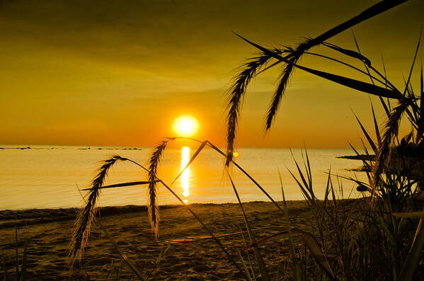 Sunset Photography Poster featuring the photograph The Port by Jason Naudi Photography