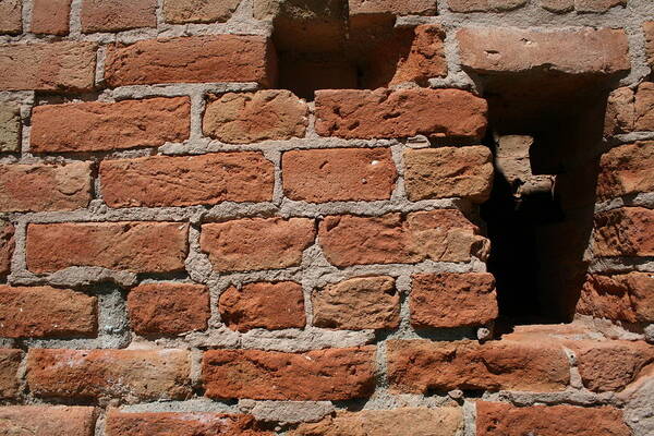 Walls Poster featuring the photograph The Red Brick Wall by Horst Duesterwald