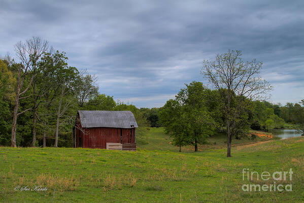 Tennessee Poster featuring the photograph TN Country Farm by Sue Karski