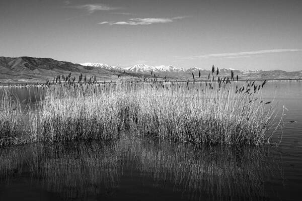 Utah Lake Poster featuring the photograph Utah Lake And Wasatch Mountains by Tracie Schiebel