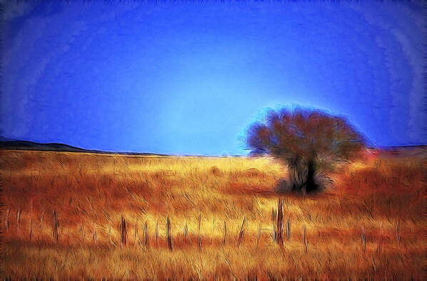 Fine Art Poster featuring the photograph Valley San Carlos Arizona by Donna Greene